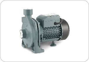 RAİN PUMP CPM 170 1,5 HP Kademeli Su Motoru